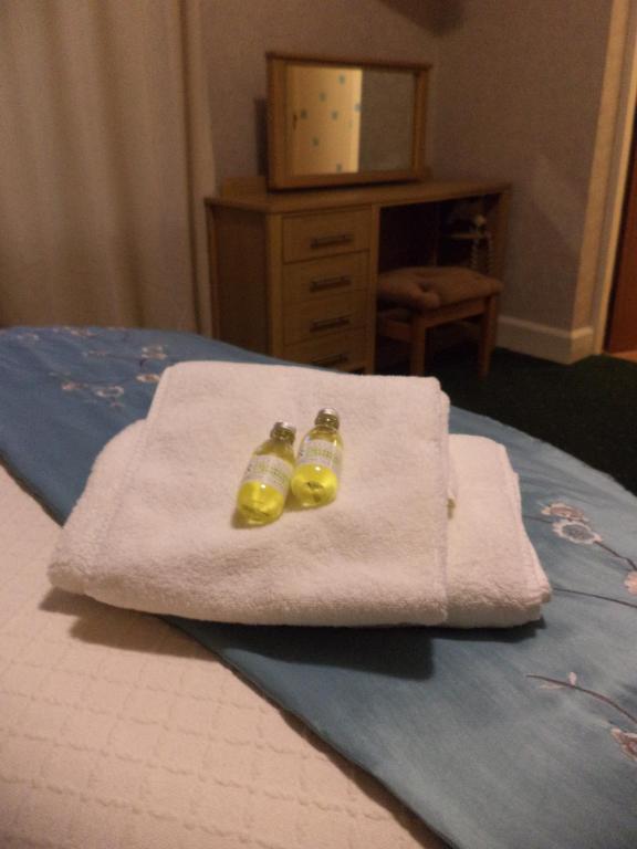 Nethercliffe Hotel Wick  Room photo